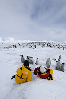 Eco-tourists at an Emperor Penguin colony at Snow Hill Island Weddell Sea Antarctica Eco-tourists at an Emperor Penguin colony at Snow Hill Island Weddell Sea Antarctica