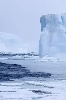 Images Dated 5th November 2006: Edge of pack ice and Icebergs Snow Hill Island Weddell Sea Antarctica