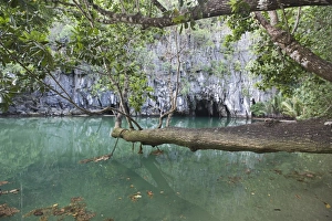 Entrance to the cave at Puerto Princesa Subterranean River National Park on Palawan Entrance to the cave at Puerto Princesa Subterranean River National Park on Palawan