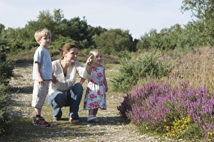 Summer Prints: Family out on heath exploring nature Norfolk summer