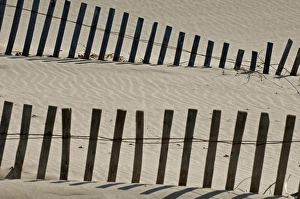 Dunes Prints: Fence swallowed up by sand dune, UK