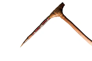 Papua New Guinea Prints: Fighting stick made from a Cassowary toe Papua New Guinea