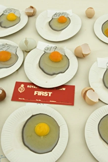 First place in chicken egg competition at Royal Norfolk Show First place in chicken egg competition at Royal Norfolk Show