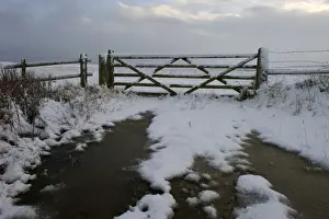 Salt House Prints: Fivre bar gate covered in snow Salthouse Norfolk December