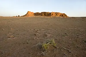 Gobi Prints: The Flaming Cliffs (Bayanzag) famed for its fossilized dinosaur bones this was
