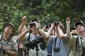 Birding Prints: Forest birding in Subic Luzon Philippines