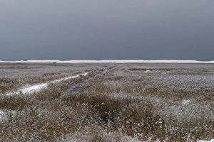 Freezing conditions on Cley NWT Reserve Cley Norfolk December Freezing conditions on Cley NWT Reserve Cley Norfolk December