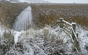 Freezing conditions on Cley NWT Reserve Cley Norfolk December