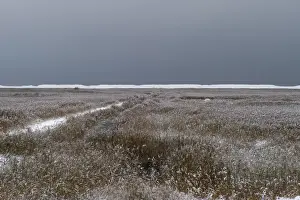 Cley Prints: Freezing conditions on Cley NWT Reserve Cley Norfolk December