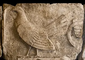 Cockerel Prints: A frieze depicting a Cockerel from a tomb at Xanthos in Lycia Turkey dates to between 470