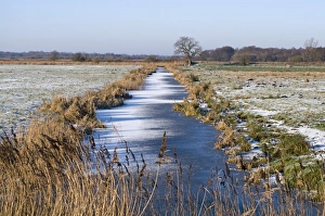 Frozen dyke on Buckenham Marshes RSPB Reserve in Yare Valley Norfolk winter Frozen dyke on Buckenham Marshes RSPB Reserve in Yare Valley Norfolk winter