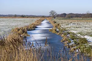 Buckenham Prints: Frozen dyke on Buckenham Marshes RSPB Reserve in Yare Valley Norfolk winter
