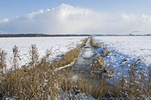 Frozen dyke running across Buckenham Marshes RSPB Reserve in Yare Valley Norfolk winter Frozen dyke running across Buckenham Marshes RSPB Reserve in Yare Valley Norfolk winter