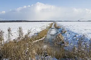 Landscape Prints: Frozen dyke running across Buckenham Marshes RSPB Reserve in Yare Valley Norfolk winter