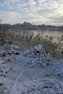 Frozen River Yare at Ferry Lane Wood near Postwick Norfolk December