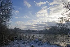 Landscape Prints: Frozen River Yare at Ferry Lane Wood near Postwick Norfolk December