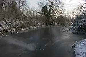 Frozen River Yare at Ferry Lane Wood near Postwick Norfolk December