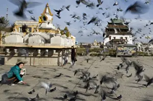 Pigeon Prints: Girl feeding Feral Pigeons in front of Gandan Manastery in Ulan Bator Mongolia September
