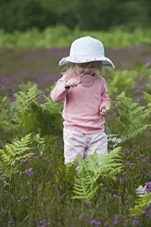 Wildlife Prints: Girl with magnifying glass looking at insects on heath North Norfolk July
