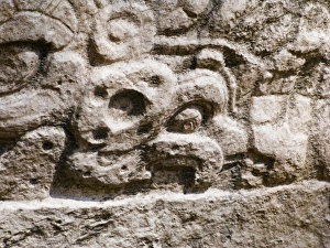 Glyph of a Parrot with a nut in bill from a Mayan Temple ay Yaxha in Peten Guatemala Glyph of a Parrot with a nut in bill from a Mayan Temple ay Yaxha in Peten Guatemala