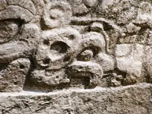 Parrot Prints: Glyph of a Parrot with a nut in bill from a Mayan Temple ay Yaxha in Peten Guatemala