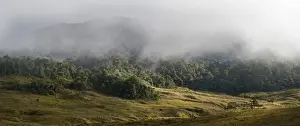 Landscape Prints: Grassland and forest at 9, 000 feet at Tari Gap Highlands Papua New Guinea