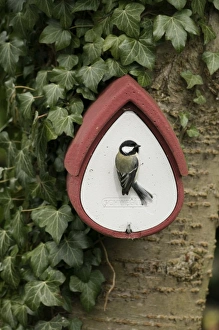 Nestbox for tits