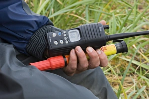 Tourism Prints: Grizzly Bear guide with radio and flare Katmai Alaska July