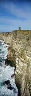 Rspb Prints: Guilemots and Razorbills breeding on cliffs at Marwick Head RSPB Reserve Orkney summer