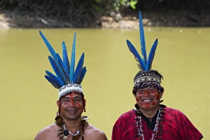 amazon amazonas peru south america neotropics