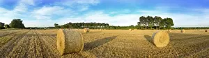 Panoramic Prints: Hay bales in field on a summers evening near Westleton Suffolk