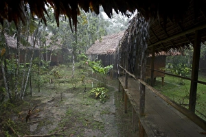 Heavy rain at Exploramo Lodge Iquitos Region Amazon River Peru Heavy rain at Exploramo Lodge Iquitos Region Amazon River Peru