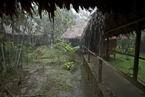 Neotropical Prints: Heavy rain at Exploramo Lodge Iquitos Region Amazon River Peru