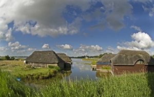 Hickling Broad Norfolk summer
