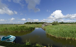 Hickling Broad Norfolk summer