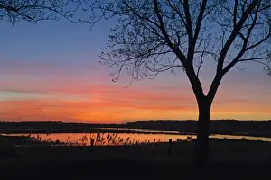 : Holkham freshmarsh viewed from Lady Annes Drive Norfolk at dusk winter