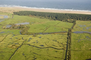 Holkham Prints: Holkham National Nature Reserve, North Norfolk October