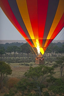 Hot air balloon carrying tourists over Masai Mara Kenya at dawn