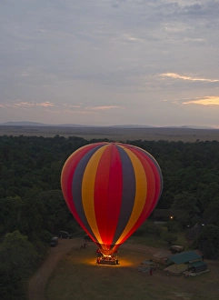 Kenya Prints: Hot air balloon taking off at dawn in Masai Mara Kenya