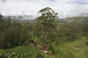 House & agriculture in valley in Western Highlands Papua New Guinea