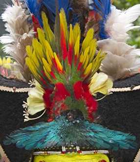 A Huli Wigmans wig from Tari in Southern Highlands Papua New Guinea. Feathers A Huli Wigmans wig from Tari in Southern Highlands Papua New Guinea. Feathers