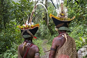 Huli Wigmen with Blyths Hornbill bills as necklace decoration Tari Southern Highlands Huli Wigmen with Blyths Hornbill bills as necklace decoration Tari Southern Highlands
