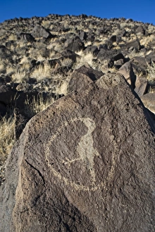 Hummingbird Petroglyph at Petroglyph National Monument Albuqurque New Mexico USA Hummingbird Petroglyph at Petroglyph National Monument Albuqurque New Mexico USA