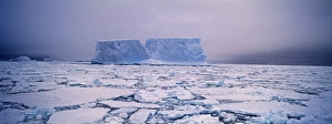 Iceberg Prints: Icebergs and pack ice in the Weddell Sea, Antarctica