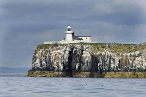 Landscape Prints: Inner Farne, Farne Islands Northumberland summer