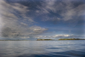 Inner Farne, Farne Islands Northumberland summer
