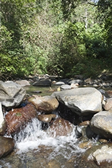 Iwahig River running through forest in Iwahig penal colony on Palawan Philippines Iwahig River running through forest in Iwahig penal colony on Palawan Philippines