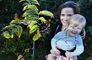 People Prints: Jayne Smith and daughter Charlotte looking at Garden Tiger Moth recently hatched