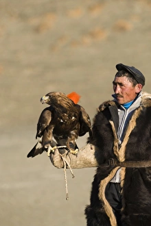 Kazakh eagle hunter with his Golden Eagle Uglii in Altai Mountains western Mongolia Kazakh eagle hunter with his Golden Eagle Uglii in Altai Mountains western Mongolia