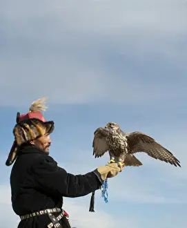 Birds And People Prints: Kazhak Falconer with Saker Falcon at eagle hunters festival in western Mongolia